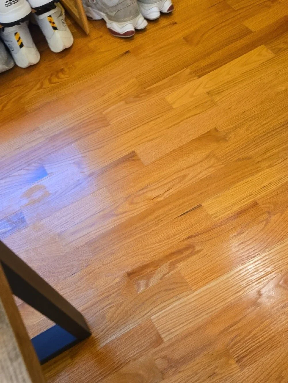 Brightroom Gray Garment Bag – Polyester Clothing Organizer